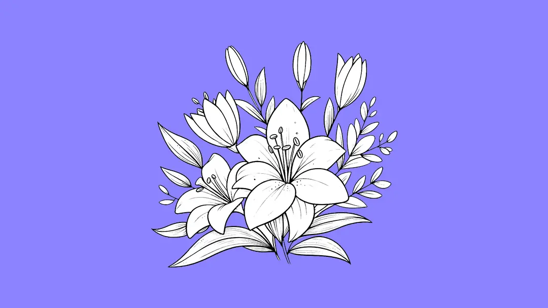 Lilium Coloring Pages